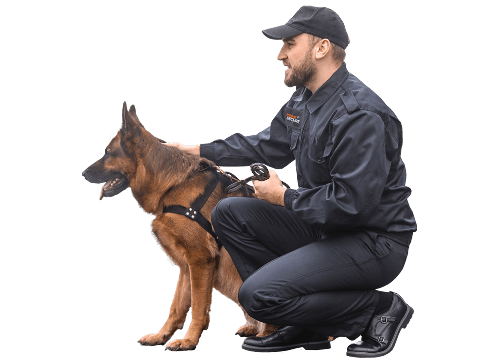 Professional Dog Security & Training Solutions​