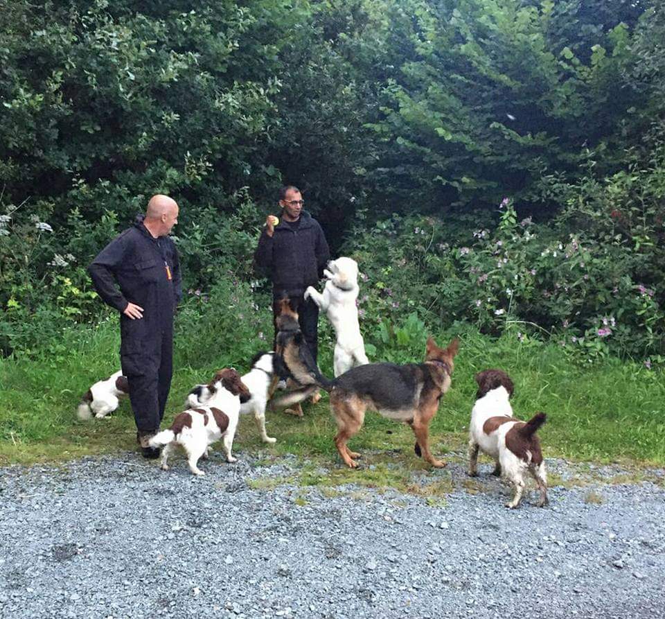 K9 training Services​